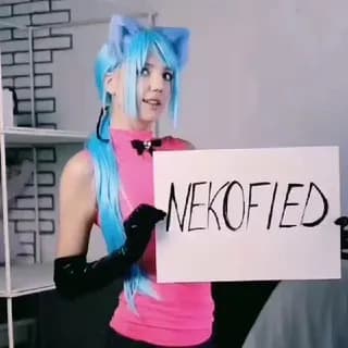 Profile image of Nekofied [EN] Anime | Gaming Chat on Telegram
