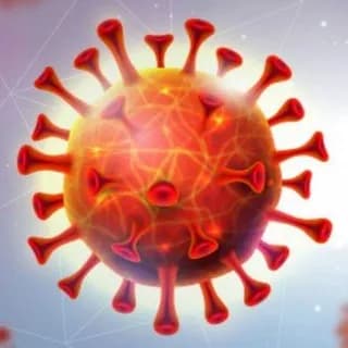 Profile image of CovidTurk Pandemi Verileri 🦠 on Telegram