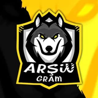 Profile image of Arşiv Gram [VİP] on Telegram