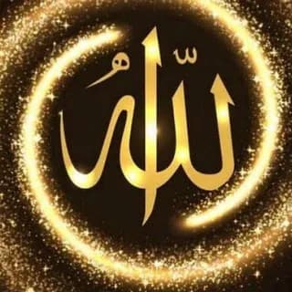 Profile image of نكت يمنية مضحكهههه on Telegram