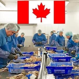Profile image of Jobs In Canada 🇨🇦 on Telegram