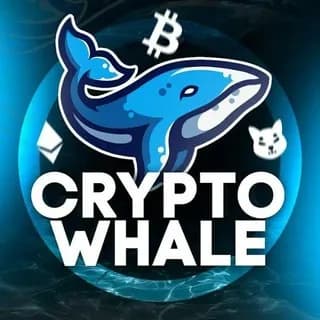Profile image of WHALE CRYPTO on Telegram