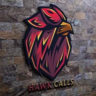 Profile image of HAWK CALL's on Telegram