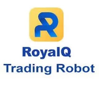 Immagine del profilo di RoyalQ Bot Italia 🤖 su Telegram