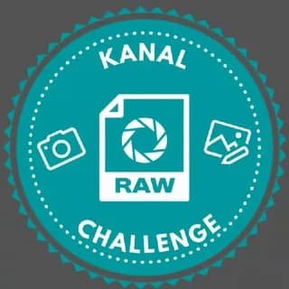 Profilbild von RAW Challenge - Kreative Bildbearbeitung auf Telegram