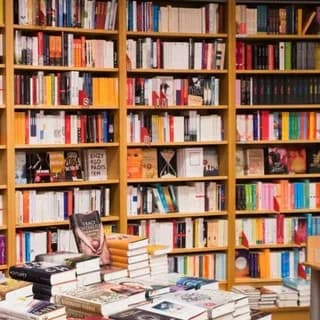 Profilbild von 📚Bücher auf Telegram