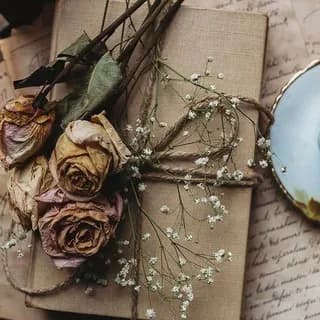Imagen de perfil de Düşler Bahçesi🌿 en Telegram