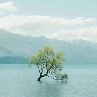 Profile image of عقل آبی | صدّیق قطبی on Telegram