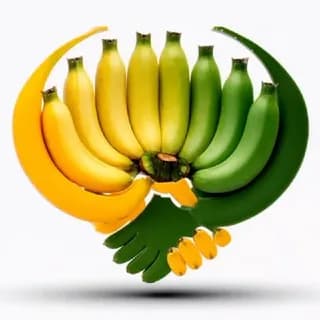 Profile image of تجارت موز ( کاشت، واردات ، رنگ آوری ، فروش) on Telegram