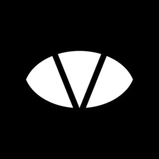 Vidno - video web conference