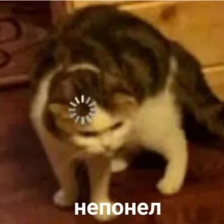 Disrespection Bot