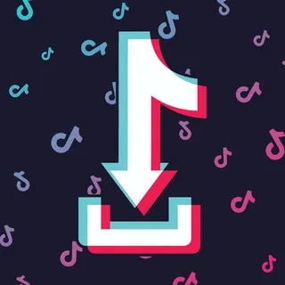 Tik Tok Downloader🎵🎬