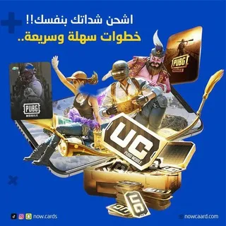 بوت شحن شدات ببجي