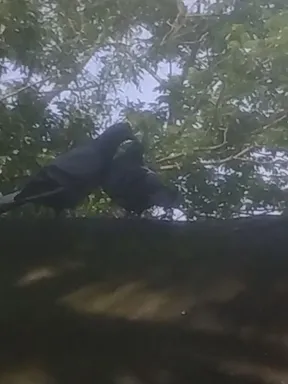 হশসবে