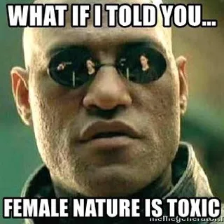 Red Pill Mentalität