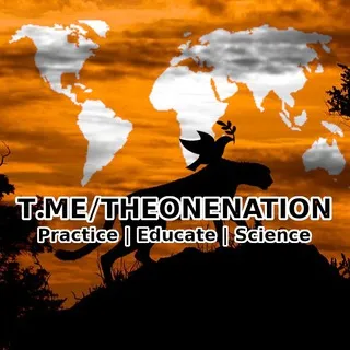 TON: The One Nation