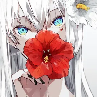 Anime/Fan Arts Group