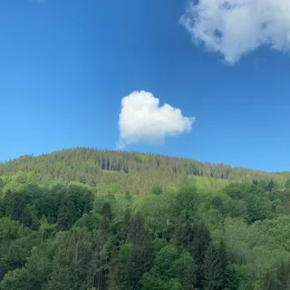 Leben im Jahreskreis