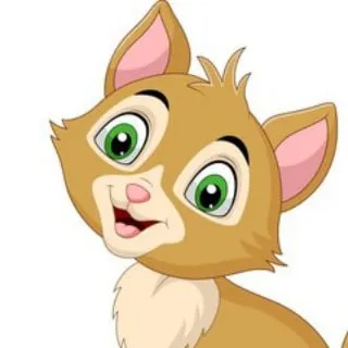 Catsforyou