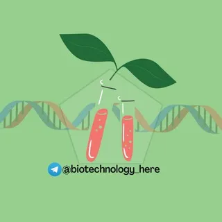 BIOLoGY TeChnOLoGY