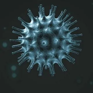 CoronaVirusNewsLive.com