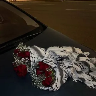 ֶֶָָ֢ فيولا