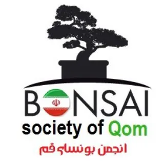 کانال انجمن بونسای قم