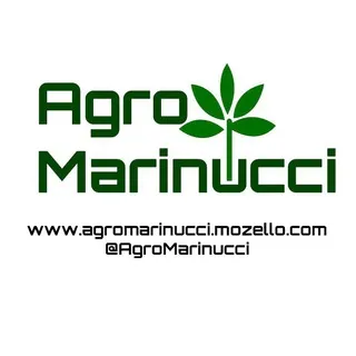 Agro Marinucci