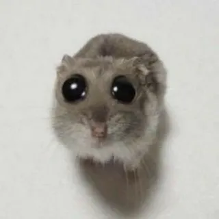 Стикеры | Стики | Stickers