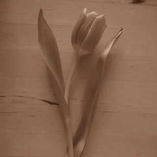 ☾︎фотоальбом☽︎