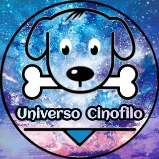 Uᥒιvᥱrso Cιᥒofιᥣo 🐶