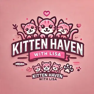 🥰Kitten Haven with Lisa💋🐈