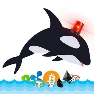 Whale Alert Signals
