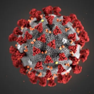 🆘️Corona Virus🆘️ - ITA🇮🇹