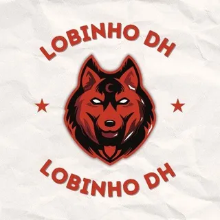 🐺 Lobinho DH 🧩