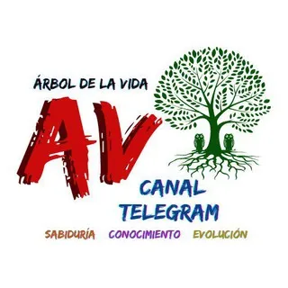 Árbol De La Vida