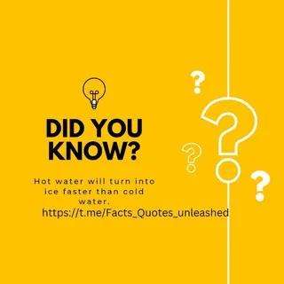 Facts & Quotes Unleashed