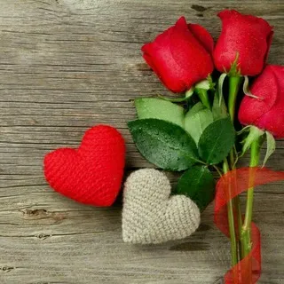 💞قلبهای آرام💞