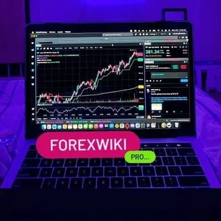 ForexWIKI (VIP)