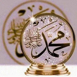في ظِلالِ السُّنَّة