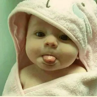 قصف جبهات🐸🔥