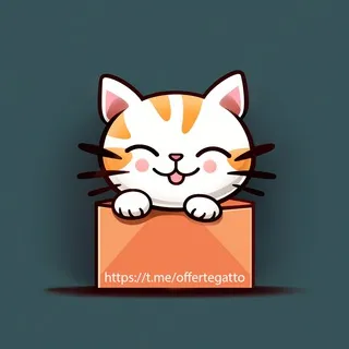 Amazon offerte gatto 🐈