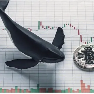 Whale power - crypto Chat