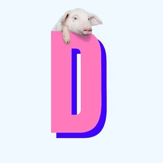 Diritti Sessuali
