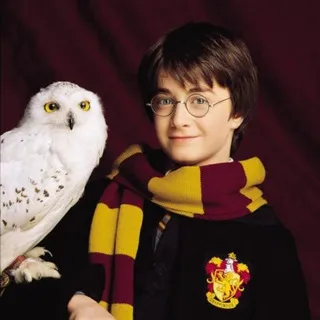 English with Harry Potter