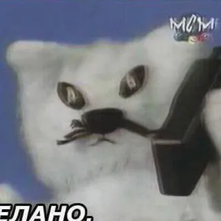 tiktok o'clock