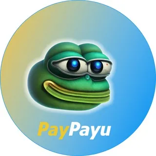 PAYU COIN