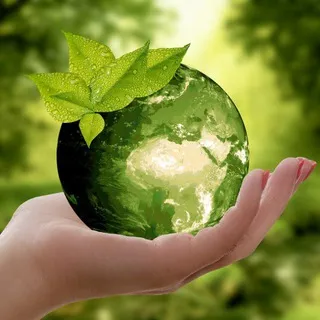 Ecologia news