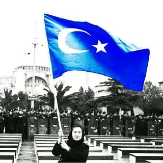 ʟᴜᴄɪ's ᴄʜᴀɴɴᴇʟ​ 🇹🇷
