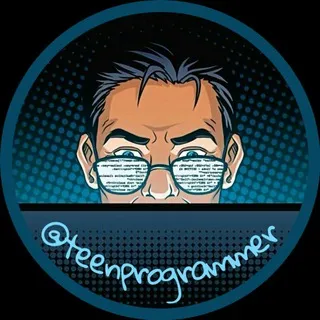 Teen Programmer